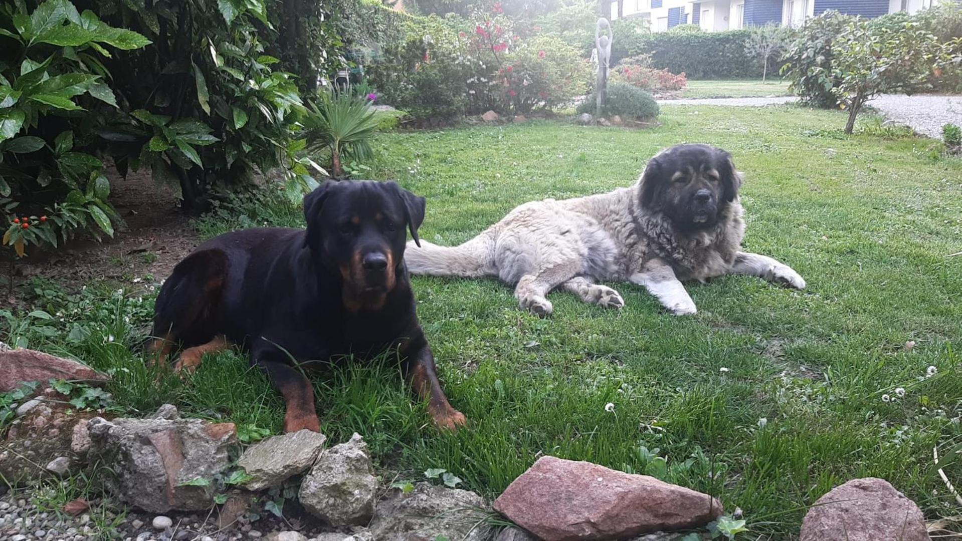 Invilla B&B Varese Bagian luar foto