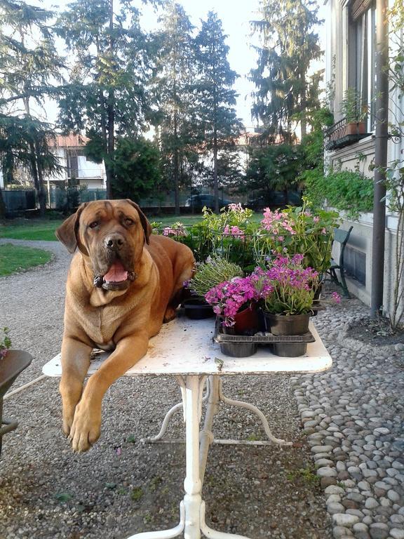 Invilla B&B Varese Bagian luar foto