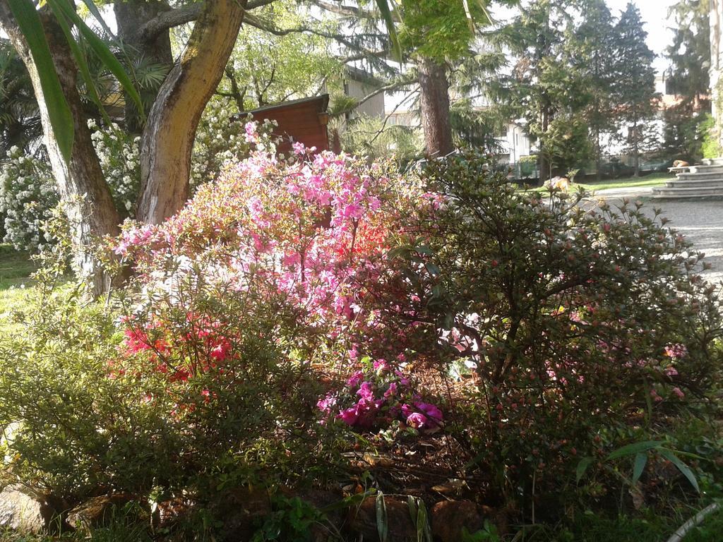 Invilla B&B Varese Bagian luar foto